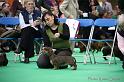 Crufts2011_2 980